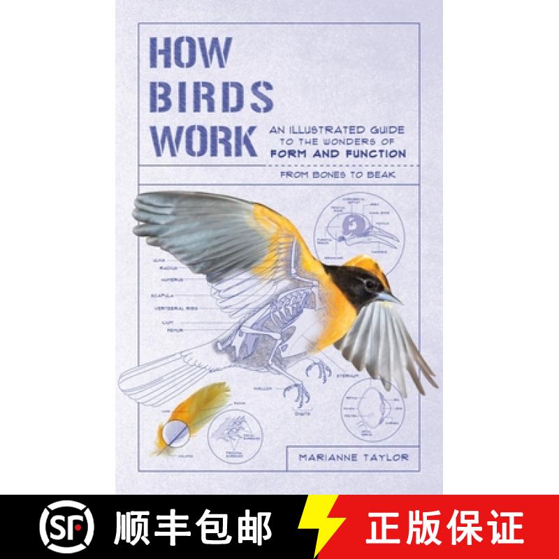 【3-4周达】How Birds Work: An Illustrated Guide to the Wonders of Form and Function - From Bones to Beak [9781615196470]
