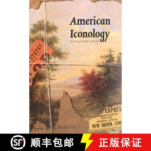 【3-4周达】American Iconology: New Approaches to Nineteenth-Century Art and Literature [9780300065145]