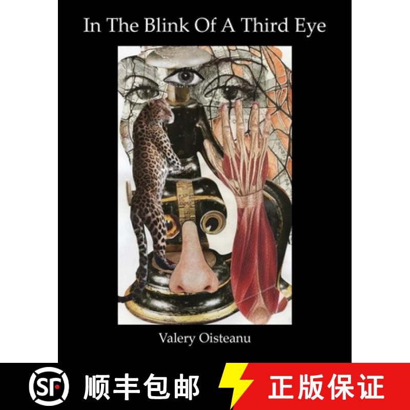 预订 In The Blink of A Third Eye: Poetry, flash-fiction, drawing-collages [9781952419249]