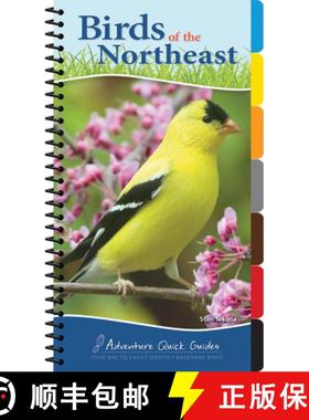 【3-4周达】Birds of the Northeast : Your Way to Easily Identify Backyard Birds [9781591934073]