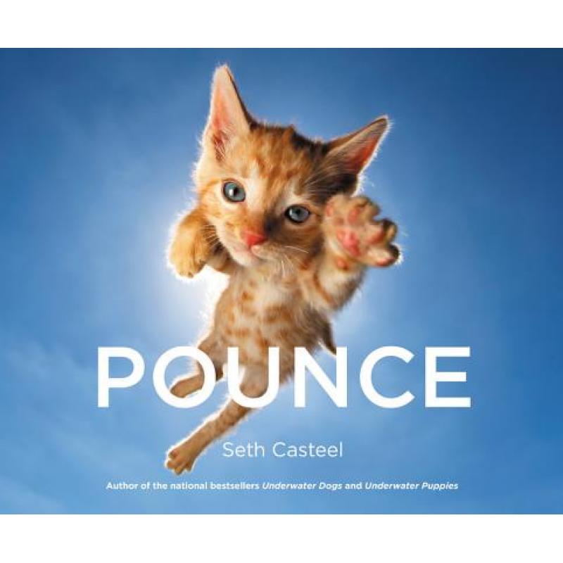 【4周达】Pounce [9780316349222] 书籍/杂志/报纸 艺术类原版书 原图主图