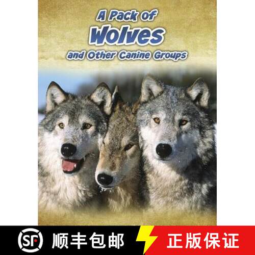 预订 A Pack of Wolves: And Other Canine Groups [9781432964894]