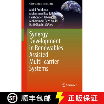【3-4周达】Synergy Development in Renewables Assisted Multi-carrier Systems [9783030907198]