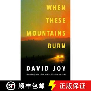literary prizewinning crime thriller These Burn 9780233006390 Ame... When Mountains The the from master 4周达