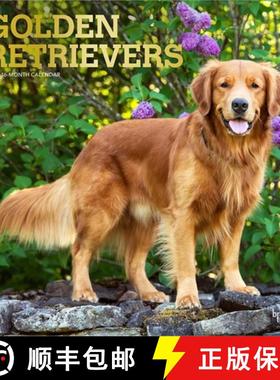 【3-4周达】Golden Retrievers 2026 12 X 24 Inch (Hanging) Monthly Square Wall Calendar Foil Stamped Co... [9798330703494]