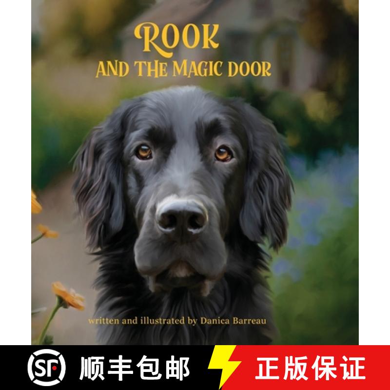 【3-4周达】Rook and the Magic Door: Written and Illustrated by Danica Barreau [9780998174648]