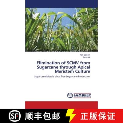 预订 Elimination of SCMV from Sugarcane through Apical Meristem Culture [9783659177071]