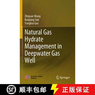 【3-4周达】Natural Gas Hydrate Management in Deepwater Gas Well [9789811564208]