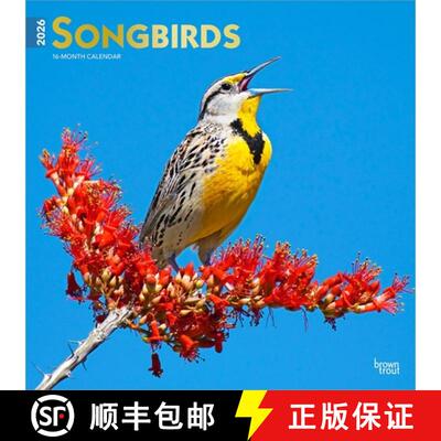 【3-4周达】Songbirds 2026 12 X 24 Inch (Hanging) Monthly Square Wall Calendar Foil Stamped Cover Plas... [9798330705634]