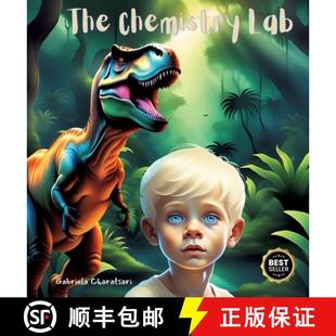 Lab Chemistry Part 预订 9783384430526 The