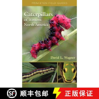 【3-4周达】Caterpillars of Eastern North America – A Guide to Identification and Natural History [9780691121444]