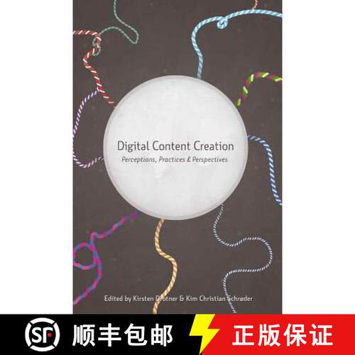 【3-4周达】精装 Digital Content Creation: Perceptions, Practices and Perspectives [9781433106965]