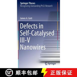 Catalysed 9783030940614 4周达 Nanowires III Self Defects