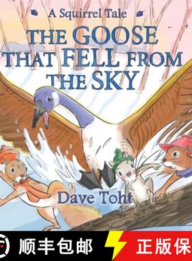 【3-4周达】The Goose that Fell from the Sky [9780578425603]