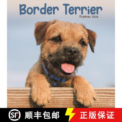 【3-4周达】Border Terrier Puppies Square Mini Calen [9781804608357]