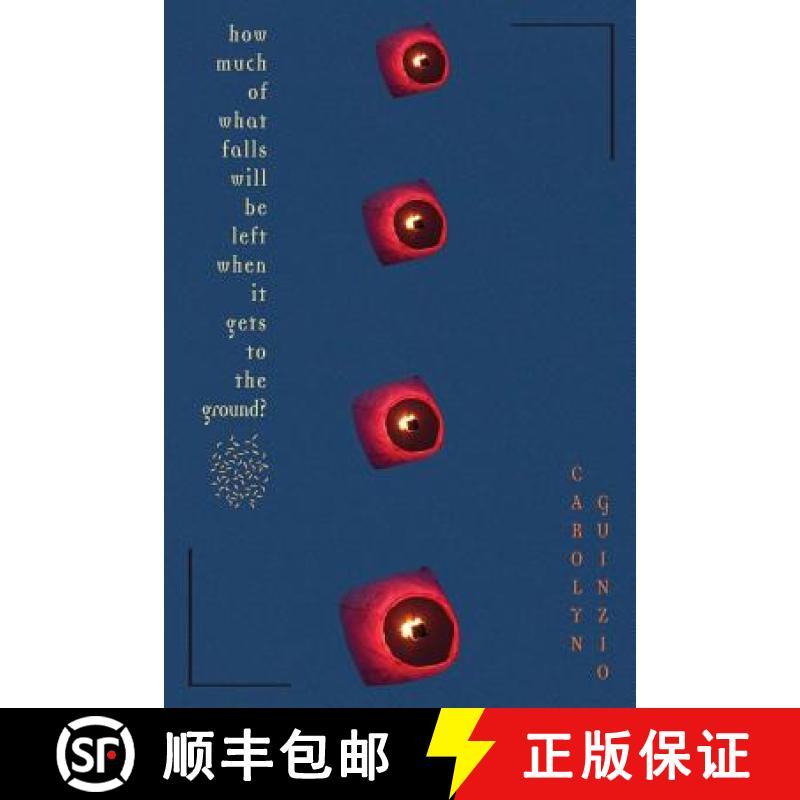 【3-4周达】How Much Of What Falls Will Be Left When It Gets To The Ground? [9781948800112]