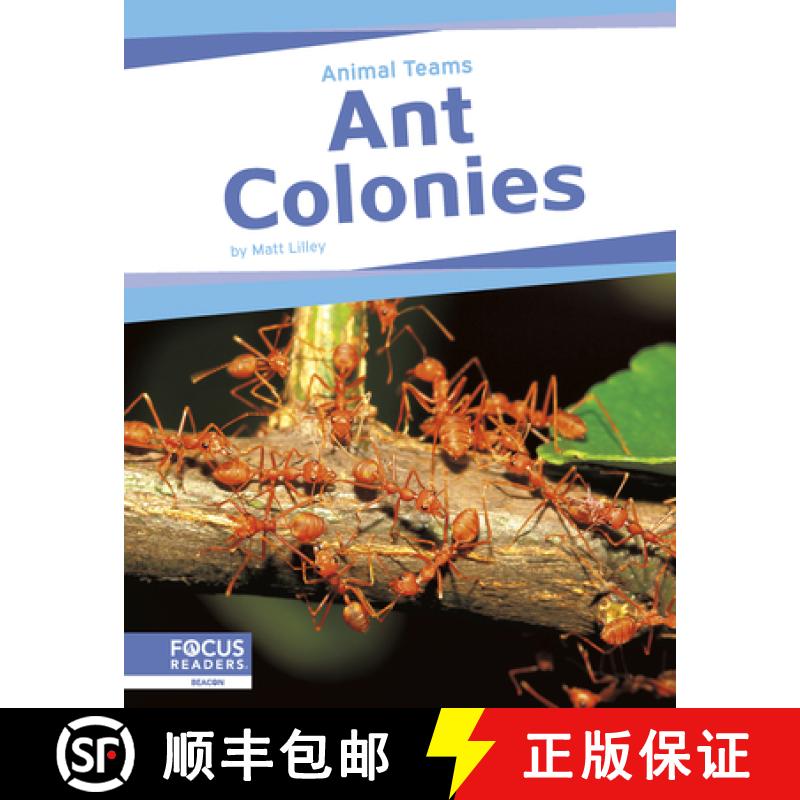 【2-3周达】Animal Teams: Ant Colonies [9798889982449]