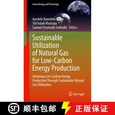 【3-4周达】精装 Sustainable Utilization of Natural Gas for Low-Carbon Energy Production: Attaining Lo... [9789819762811]