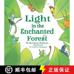 Light the Forest 4周达 Enchanted 9781504394369