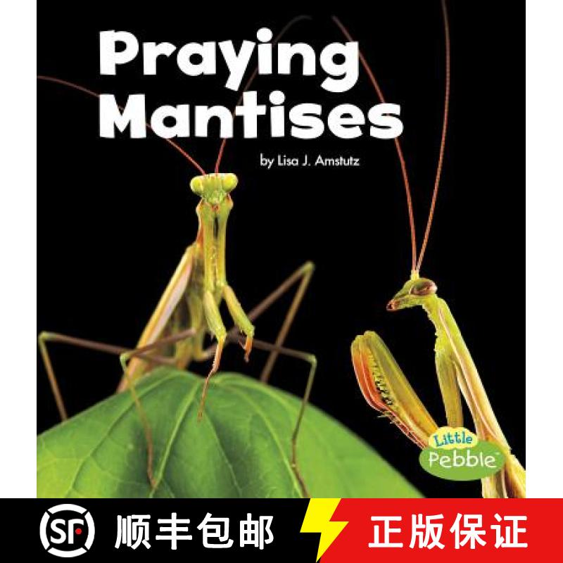 预订 Praying Mantises [9781515778387]