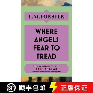 bestselling Shafak Fear With introduction Tread Elif 9781399736169 Th... Where 4周达 Angels author