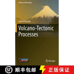 Processes 4周达 Tectonic 9783030659677 Volcano