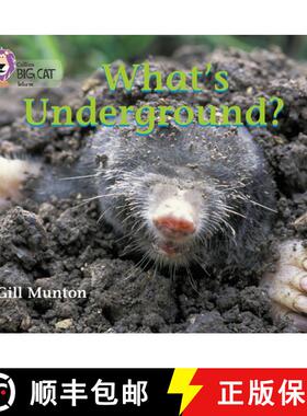 【3-4周达】What's Underground?: Band 04/Blue [9780007185863]