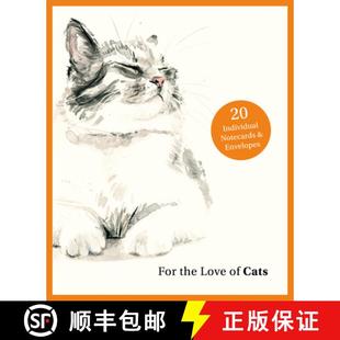 the Cats For Envelopes 9781399600125 and Love 4周达 Individual E... Notecards