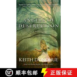 Destruction 4周达 9780307450265 Angels