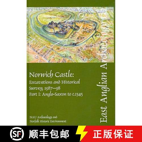 【3-4周达】Norwich Castle: Excavations and Historical Survey 1987-98. Part I Anglo-Saxon to C.1345, a... [9780905594484]