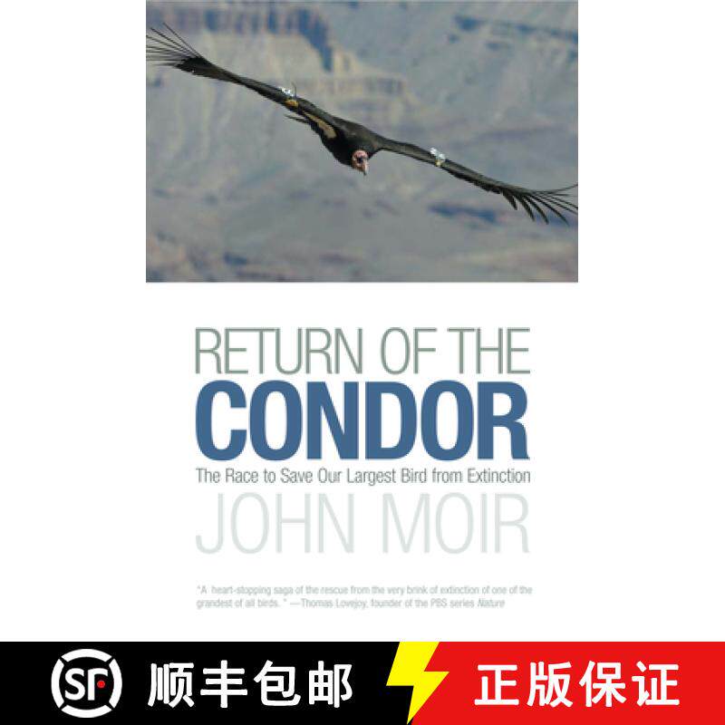 【3-4周达】Return of the Condor: The Race to Save Our Largest Bird from Extinction [9781592289493]
