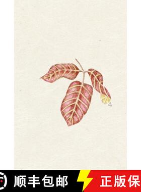 【3-4周达】Redshift 3 [9781732691124]