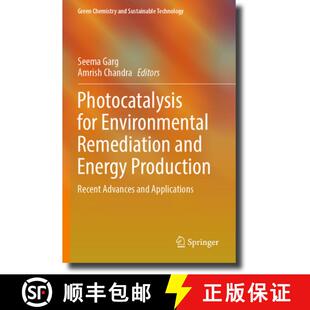 Photocatalysis 9783031277092 Ap... Energy 4周达 Production Environmental for Advances Remediation Recent and