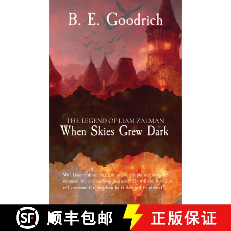 预订 When Skies Grew Dark: The Legend of Liam Zalman [9798330237777]