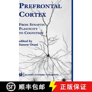 Synaptic 9781402077661 4周达 Cognition Plasticity From Cortex Prefrontal