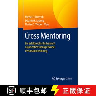 Erfolgreiches 9783662531839 4周达 Personalentwick... Organisationsübergreifender Instrument Ein Mentoring Cross