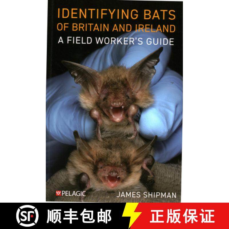 【3-4周达】Identifying Bats of Britain and Ireland : A Field Worker's Guide [9781784274924]