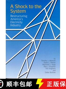 【3-4周达】A Shock to the System : Restructuring America's Electricity Industry [9780915707805]