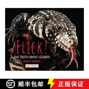 Truth the about Lizards 预订 9781478887805 Flick