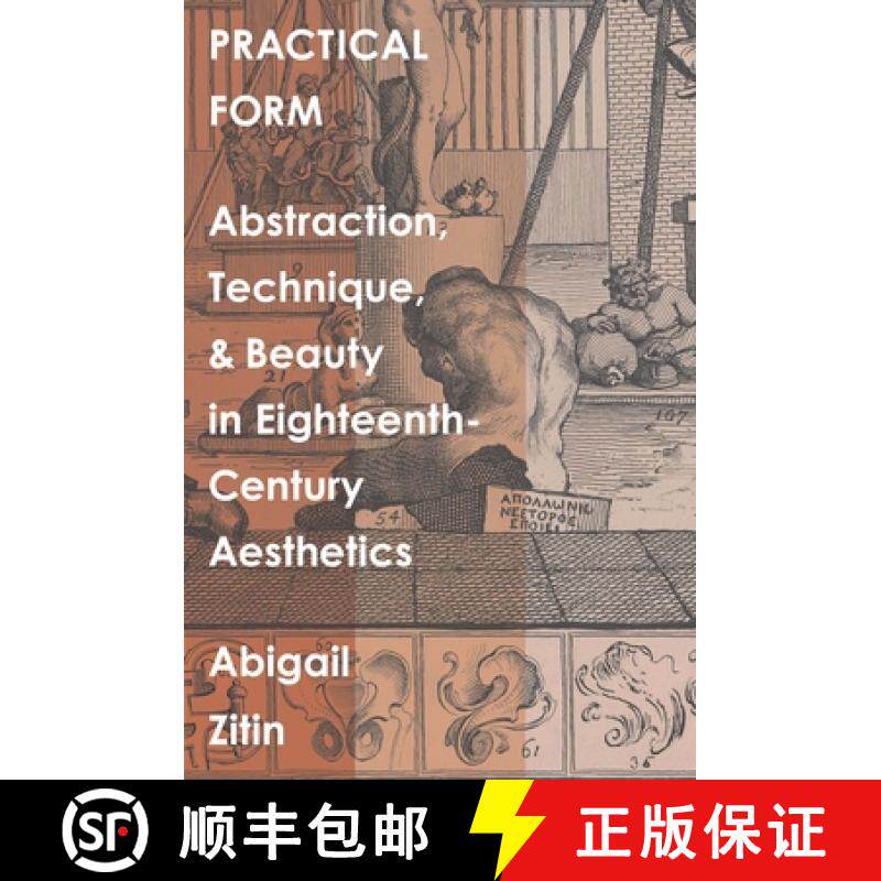 【3-4周达】Practical Form: Abstraction, Technique, and Beauty in Eighteenth-Century Aesthetics [9780300244564]
