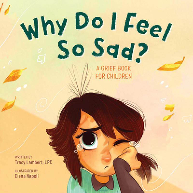 预订 why do i feel so sad?: a grief book . [9781646117130]
