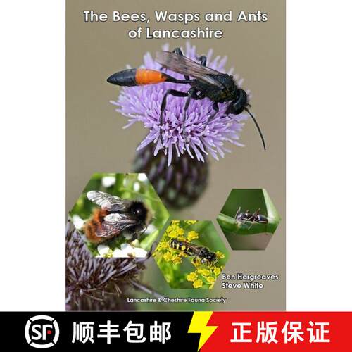 预订 The Bees, Wasps and Ants of Lancashire [9781999731298]