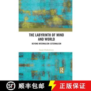 and World Externalism The Internalism 4周达 9781032176215 Labyrinth Beyond Mind