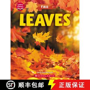 4周达 Learn Leaves 9781546101970 About Fall