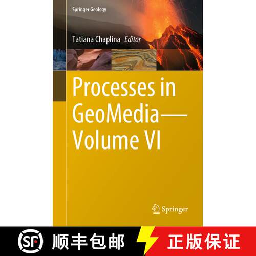【3-4周达】精装 Processes in Geomedia--Volume VI [9783031165740]