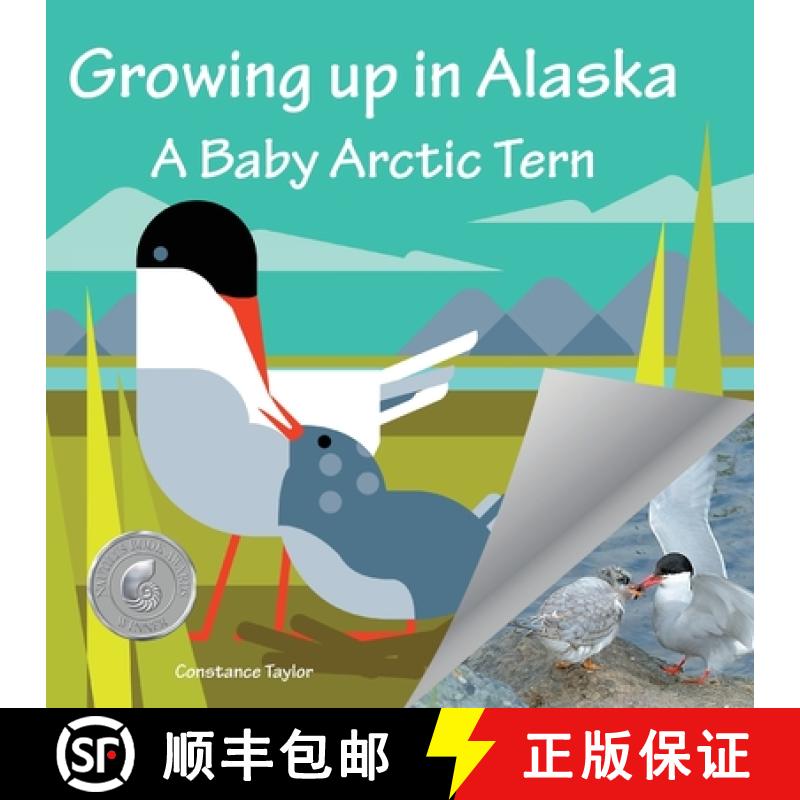 【3-4周达】Growing up in Alaska: A Baby Arctic Tern [9781888215762]