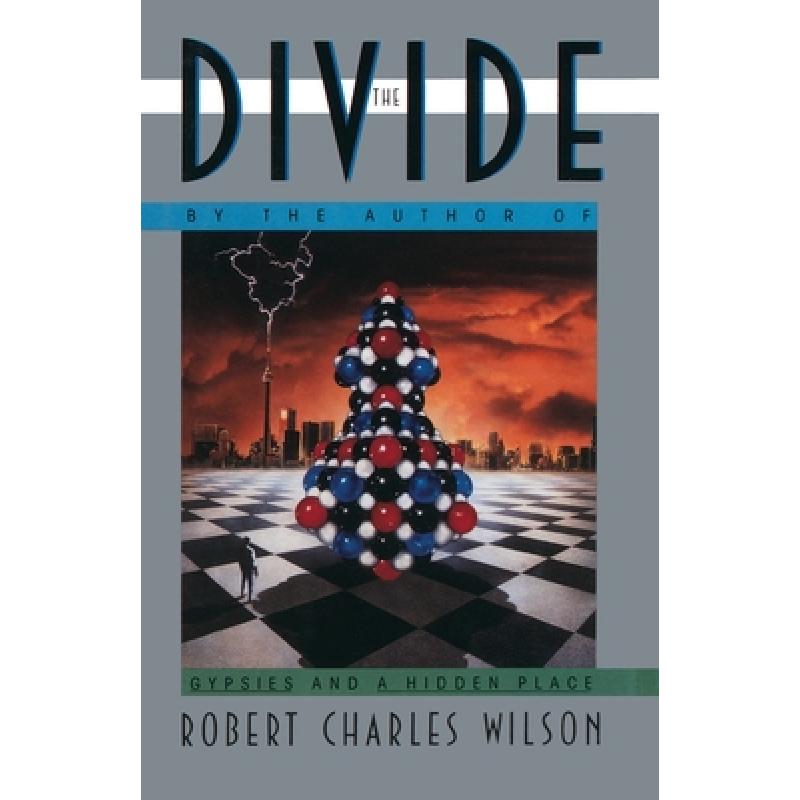 预订 divide: a novel [9780385266550]