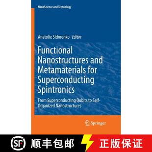for and Superconducting Superco... Functional From 4周达 9783030080266 Nanostructures Spintronics Metamaterials