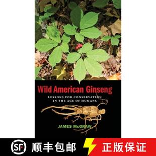 【3-4周达】Wild American Ginseng: Lessons for Conservation in the Age of Humans [9780820362670]