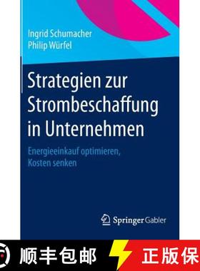 【3-4周达】Strategien zur Strombeschaffung in Unternehmen : Energieeinkauf optimieren, Kosten senken [9783658074210]
